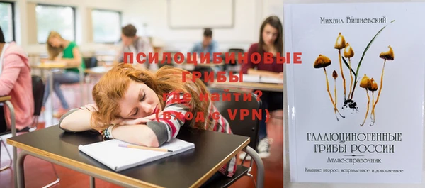 ПСИЛОЦИБИНОВЫЕ ГРИБЫ Дмитриев