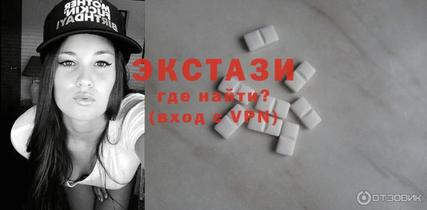 индика Туринск