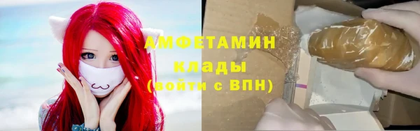 твердый Дмитров