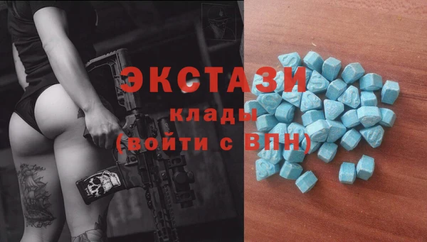 гидра Тында