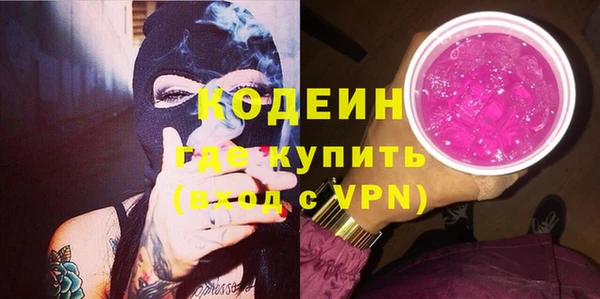 индика Туринск