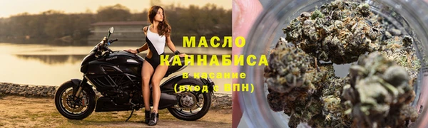 крисы Гусь-Хрустальный
