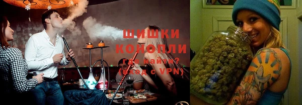 мдпв Вязьма